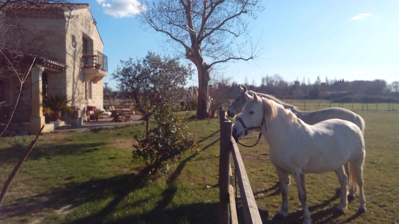 Bed and Breakfast Le Mazet De Jean Le Cailar Exterior foto